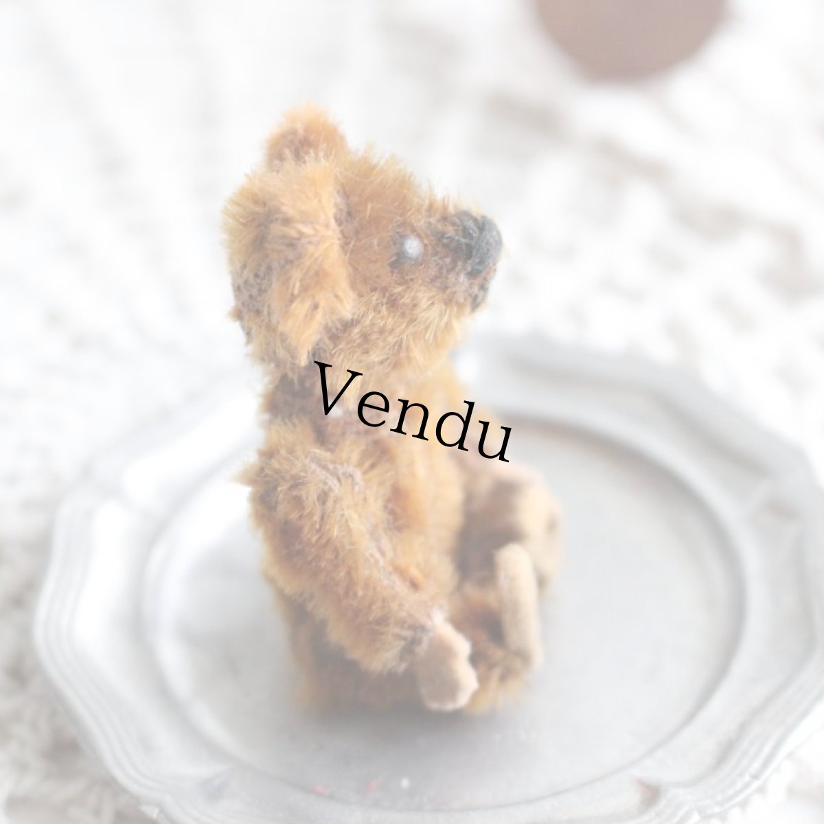 画像6: シュコー社アンティークピッコロシリーズテディベア (6)