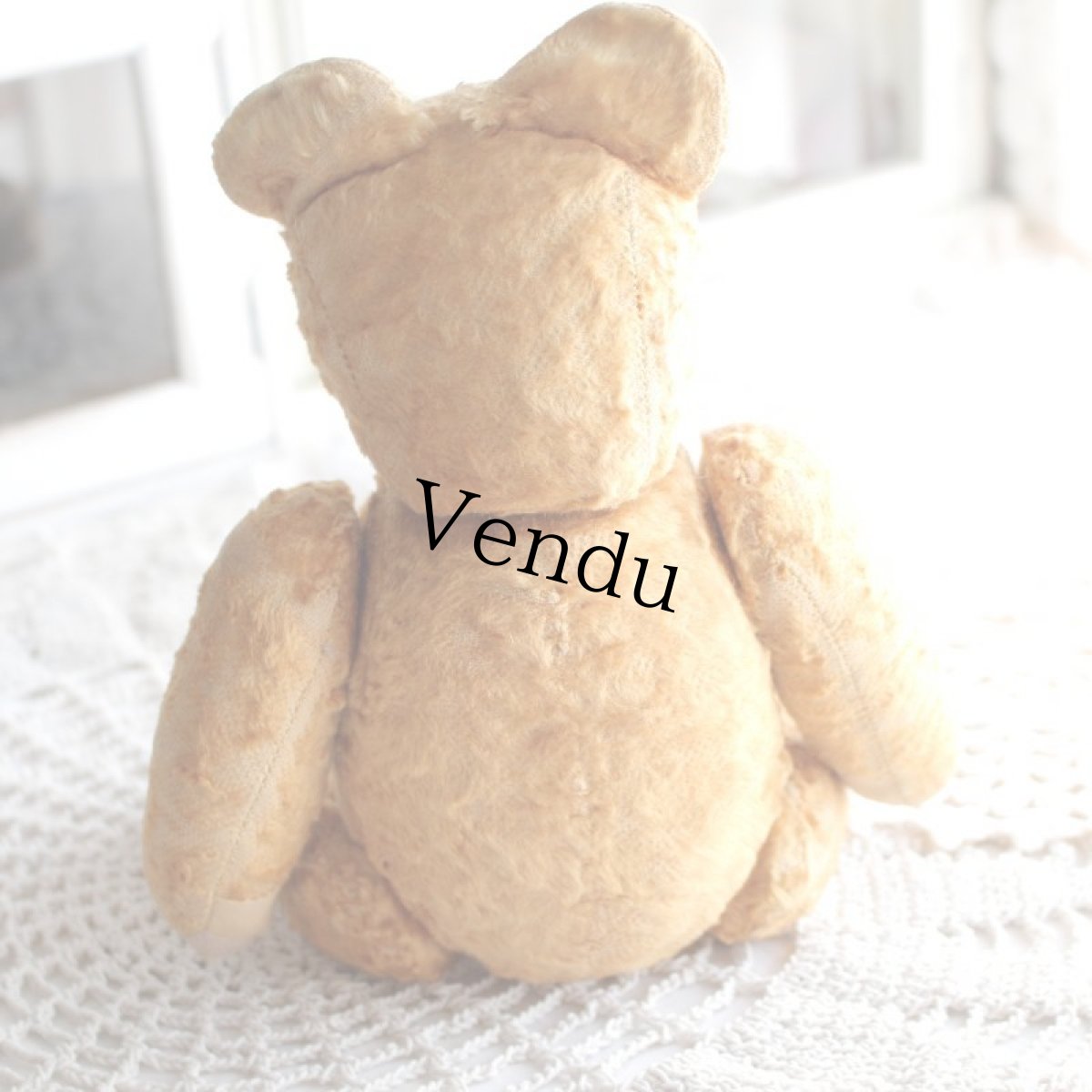 画像7: フランスアンティークテディベア (7)