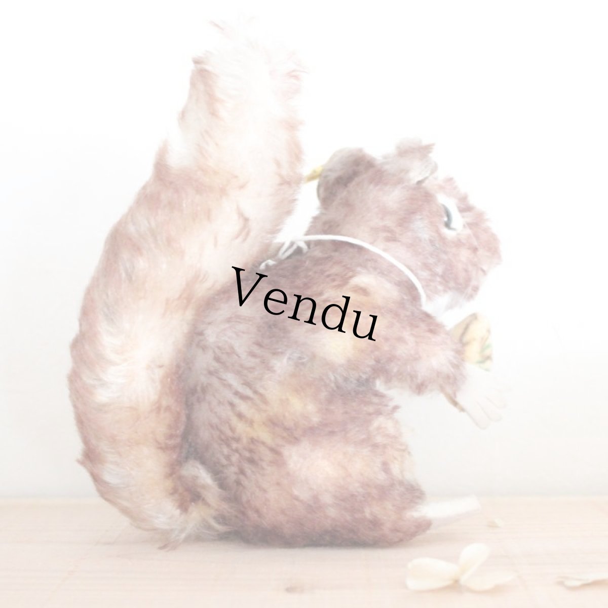 画像4: Steiff アンティーク リス Perri (4)