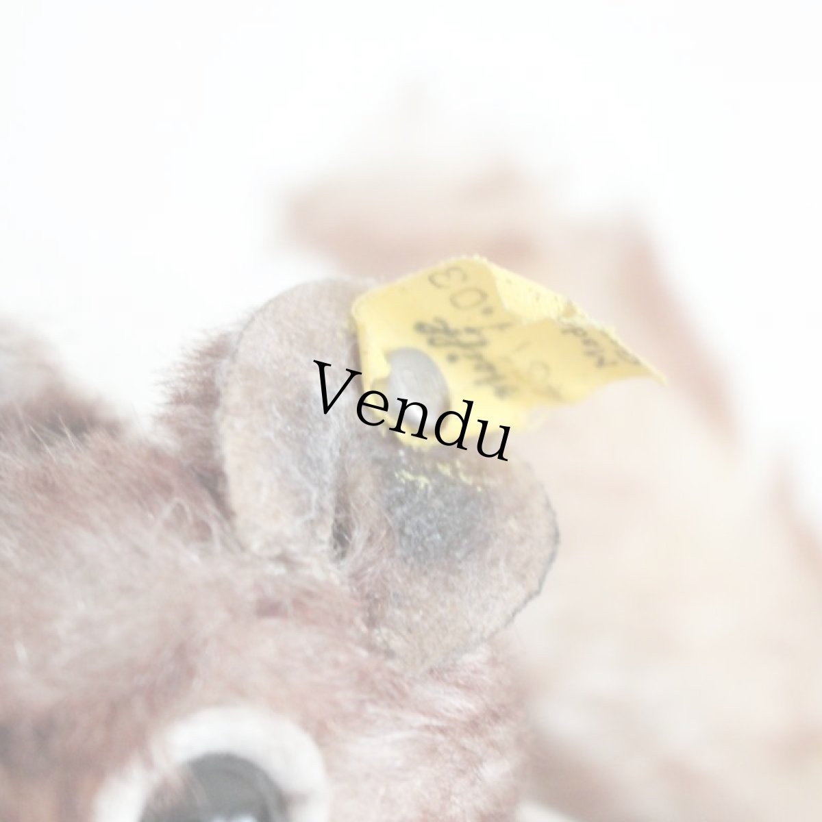 画像6: Steiff アンティーク リス Perri (6)