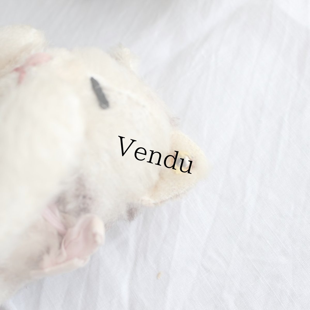 画像4: Antique Steiff Floppy Kitty (4)