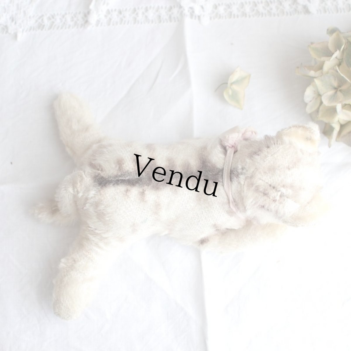 画像6: Antique Steiff Floppy Kitty (6)