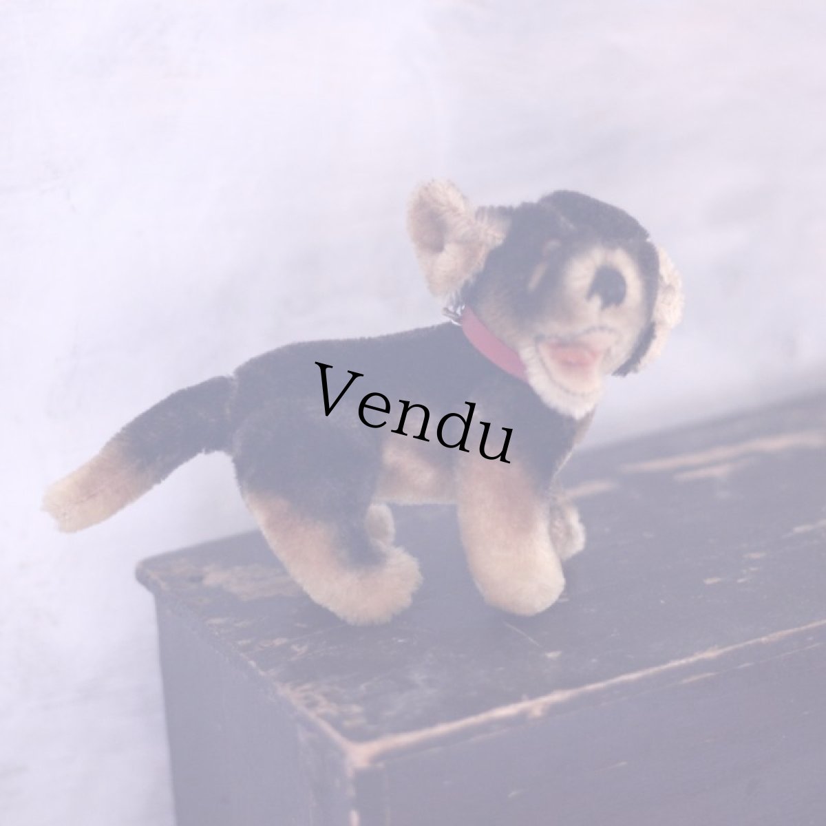 画像6: steiff Beppo ダックスフンド (6)