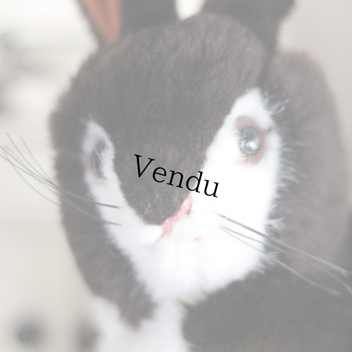 画像2: steiff Snuffy Bunny Rabbit (2)