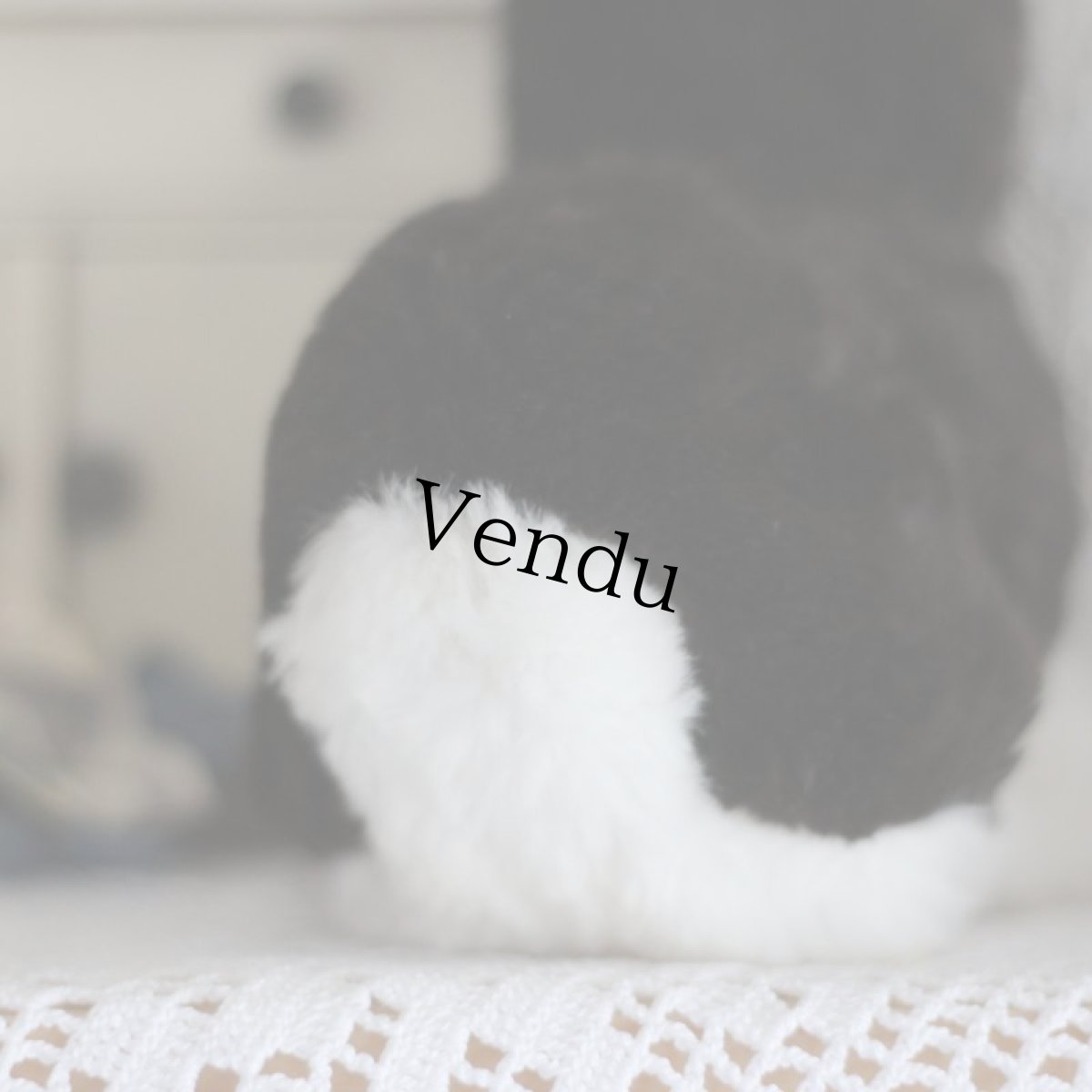 画像7: steiff Snuffy Bunny Rabbit (7)