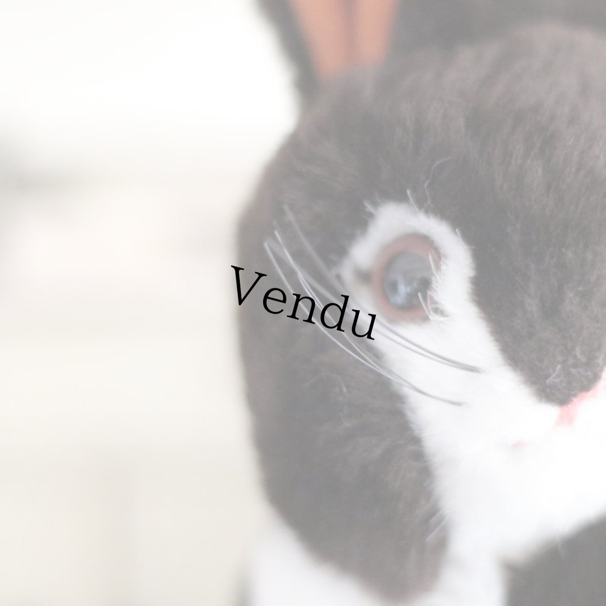 画像12: steiff Snuffy Bunny Rabbit (12)