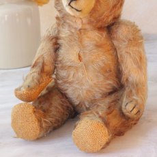画像5: French Teddy Bear (5)