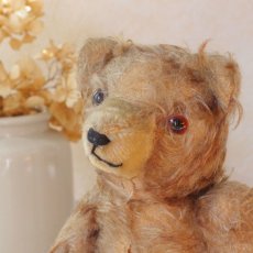 画像2: French Teddy Bear (2)