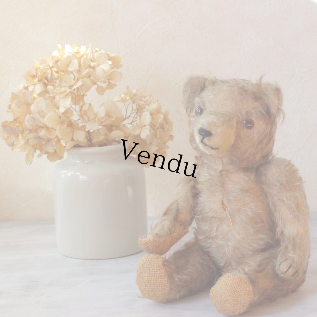 画像1: French Teddy Bear (1)