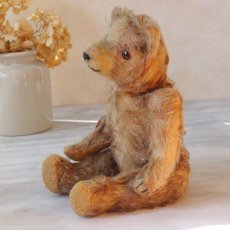 画像9: French Teddy Bear (9)