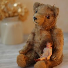 画像10: French Teddy Bear (10)