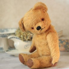 画像6: Chad Valley Teddy Bear (6)