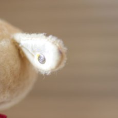 画像5: Steiff Lamb LAMBY (5)