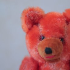 画像4: Orange Bear (4)