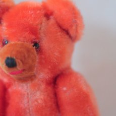 画像3: Orange Bear (3)