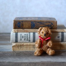 画像1: England Antique Brown Bear (1)