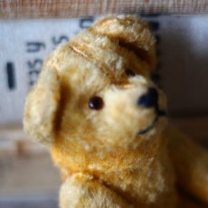 画像5: England Antique Yellow Bear (5)