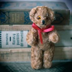 画像7: England Antique Brown Bear (7)