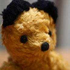 画像6: Sooty Bear (6)