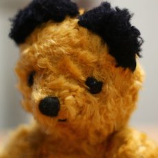 画像5: Sooty Bear (5)