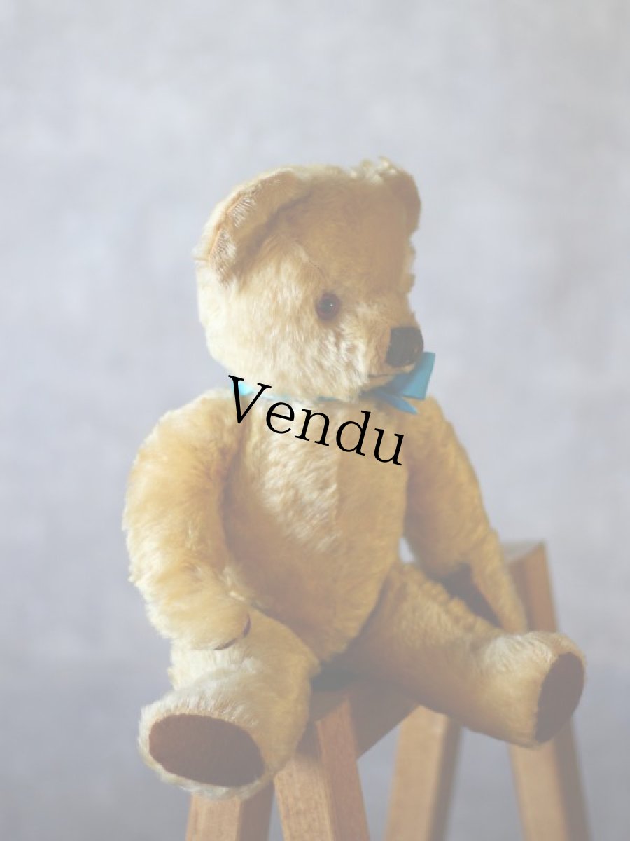 画像9: チャドバレー アンティーク ベア/British Chad Valley (9)