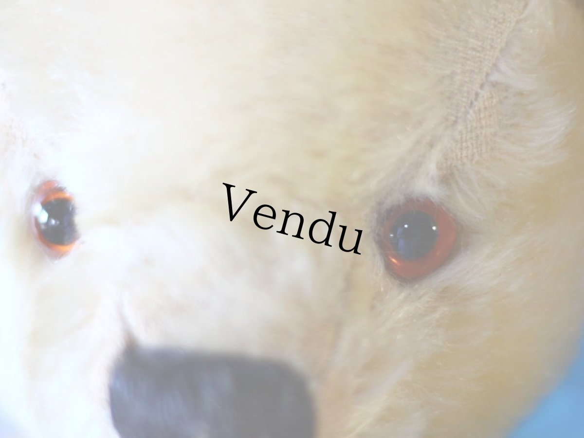 画像3: チャドバレー アンティーク ベア/British Chad Valley (3)