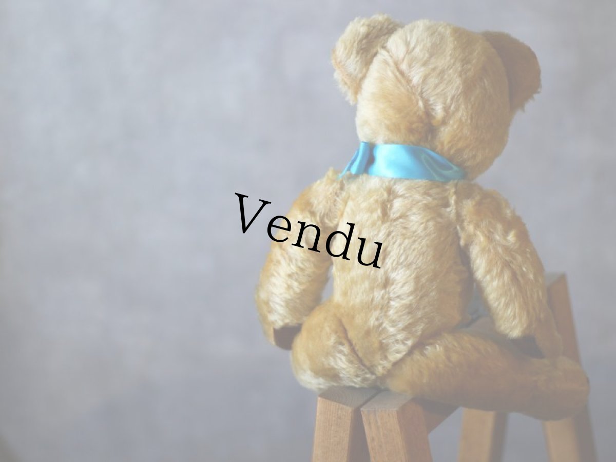 画像8: チャドバレー アンティーク ベア/British Chad Valley (8)