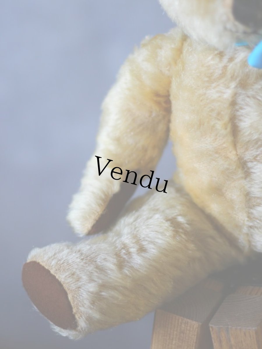 画像5: チャドバレー アンティーク ベア/British Chad Valley (5)