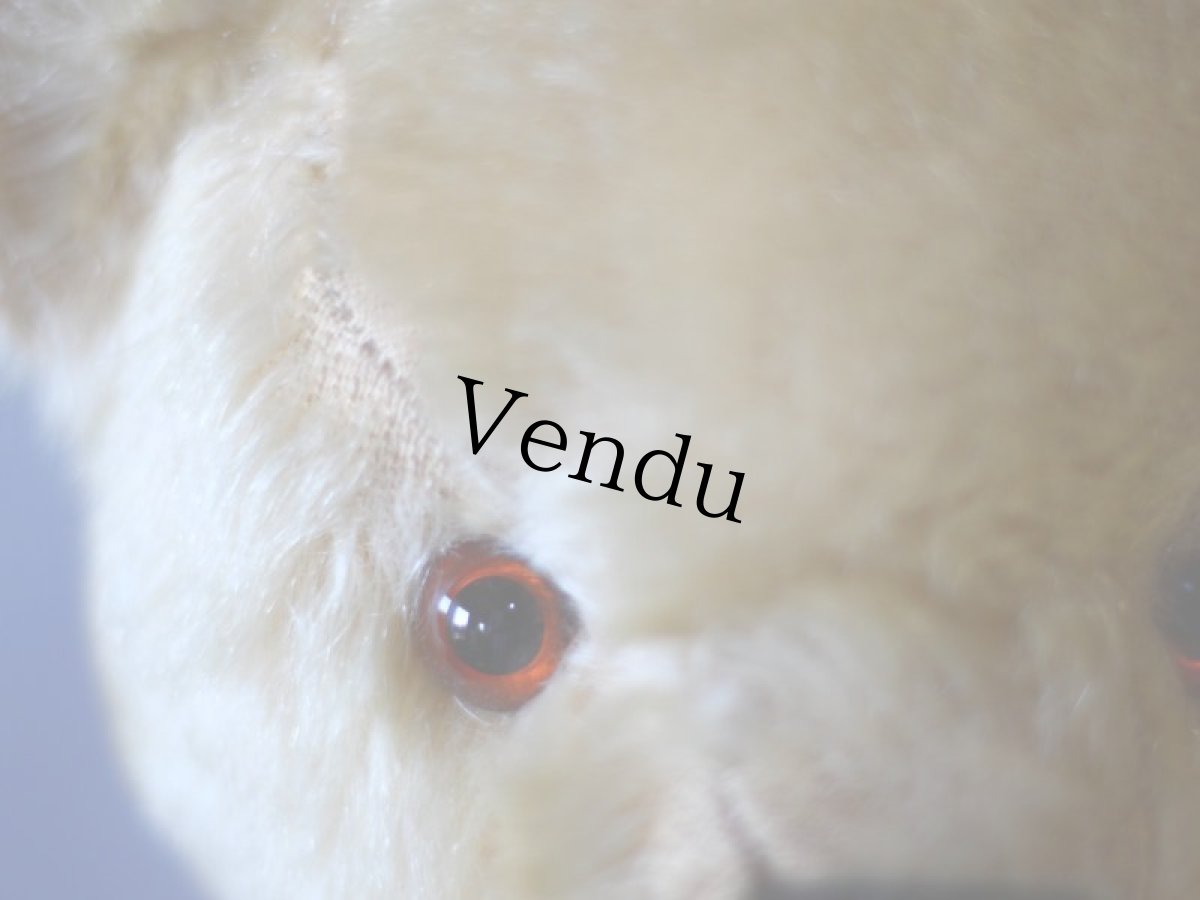 画像4: チャドバレー アンティーク ベア/British Chad Valley (4)