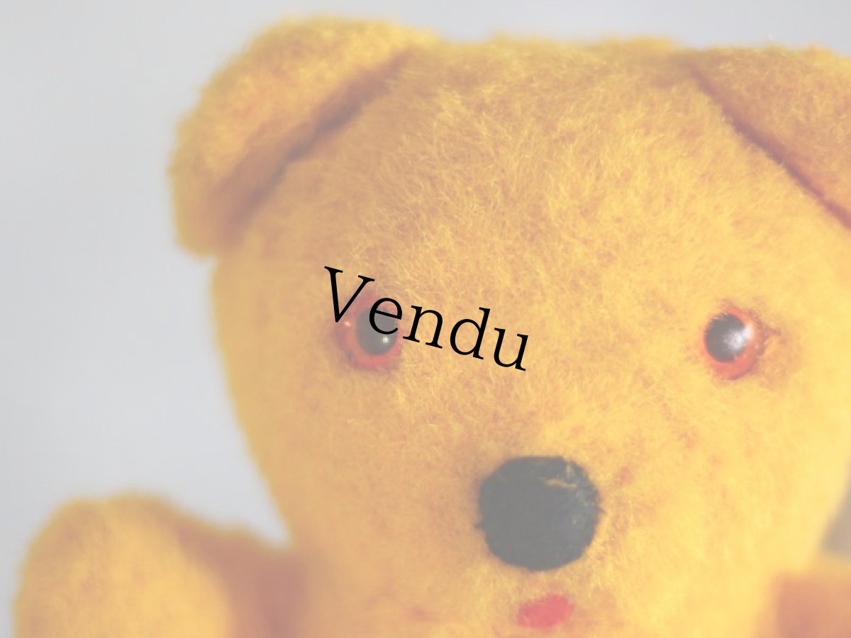 画像3: イギリス Rosebud社 アンティーク ベア/British (3)