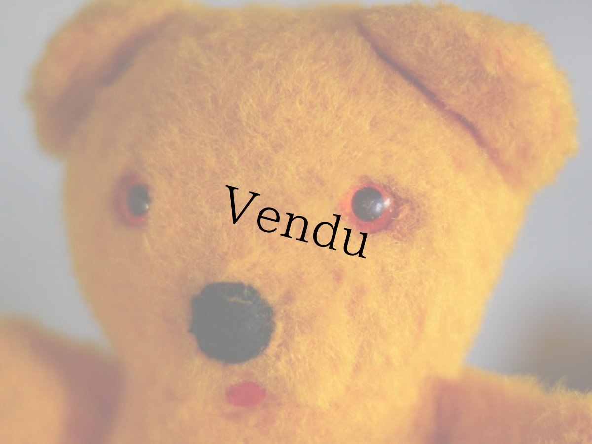 画像2: イギリス Rosebud社 アンティーク ベア/British (2)