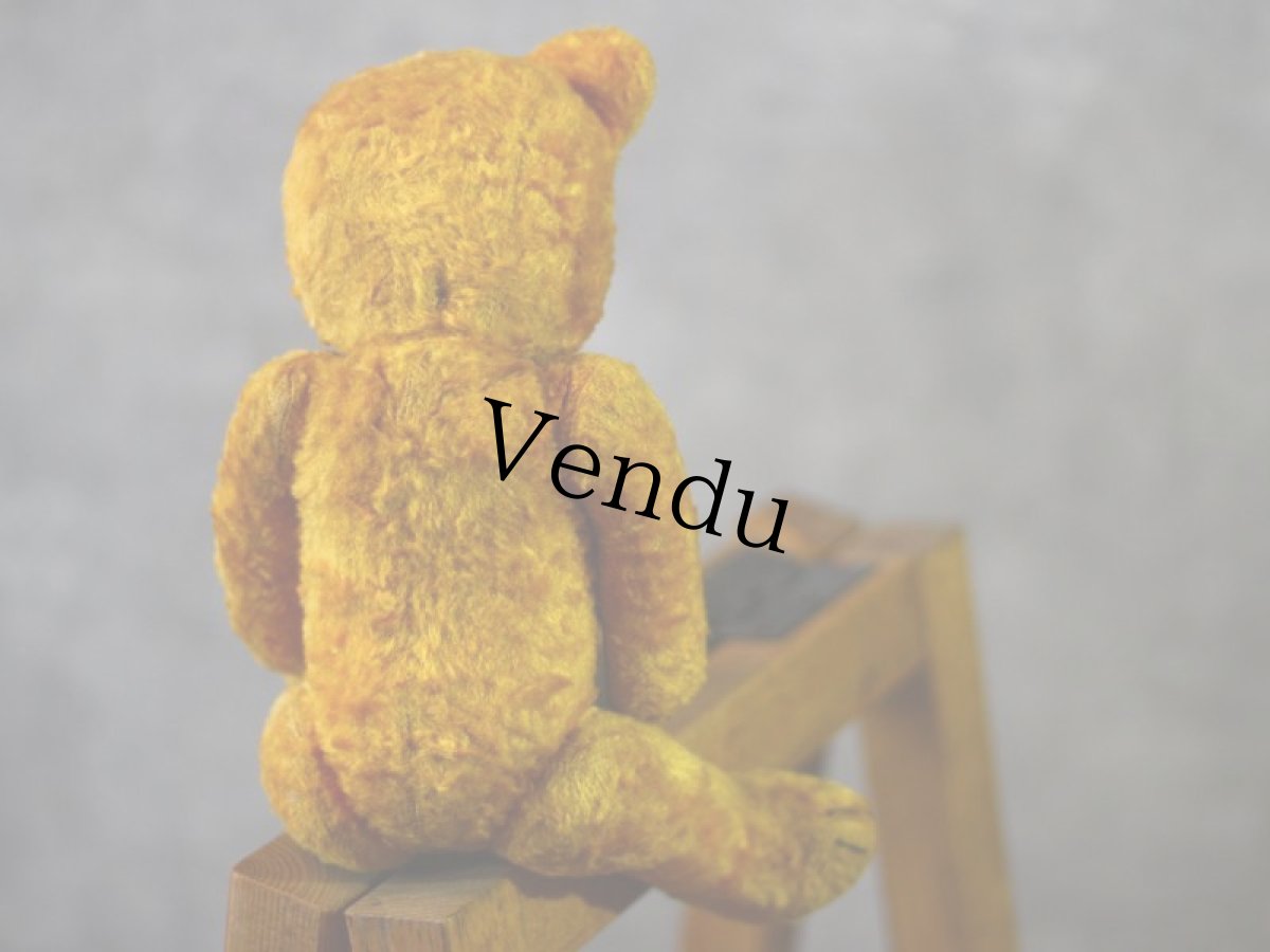 画像9: Gottfried Kraeber社Gokra アンティークベア/German (9)