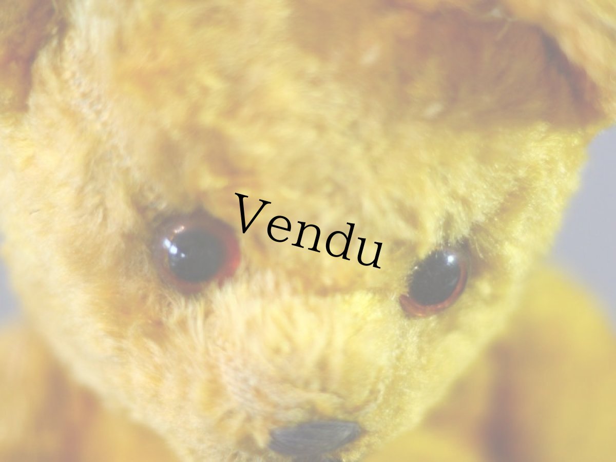 画像4: Gottfried Kraeber社Gokra アンティークベア/German (4)