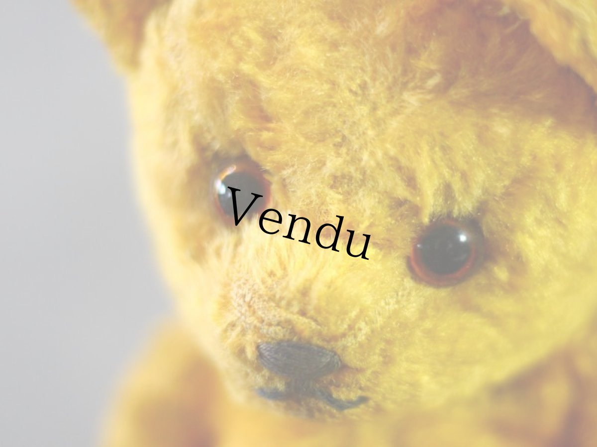 画像3: Gottfried Kraeber社Gokra アンティークベア/German (3)