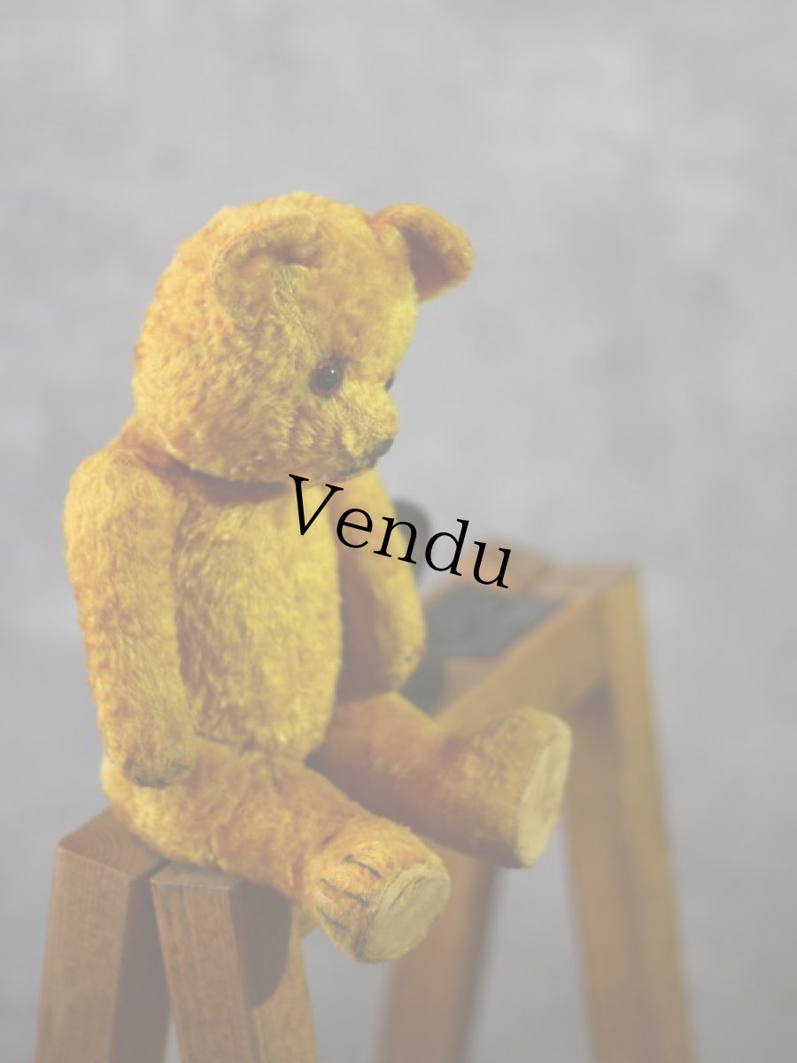 画像8: Gottfried Kraeber社Gokra アンティークベア/German (8)