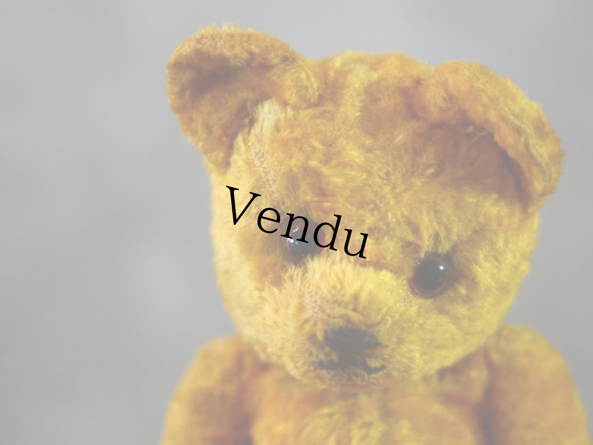 画像2: Gottfried Kraeber社Gokra アンティークベア/German (2)