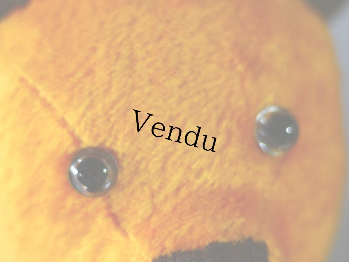 画像4: French Bear (4)