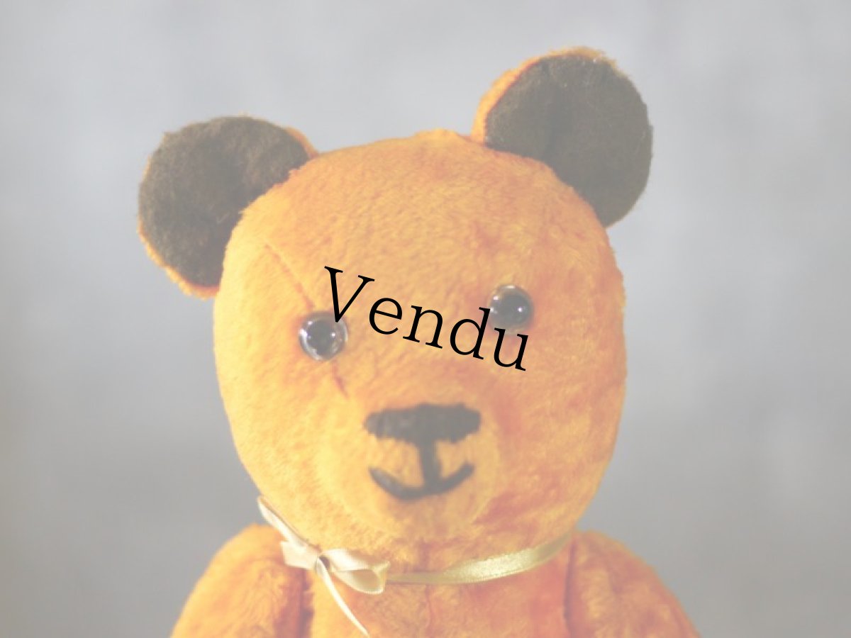 画像2: French Bear (2)