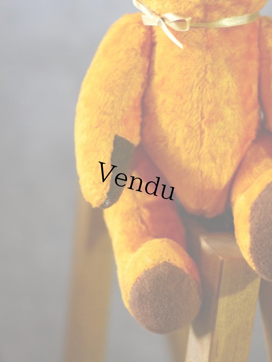 画像5: French Bear (5)