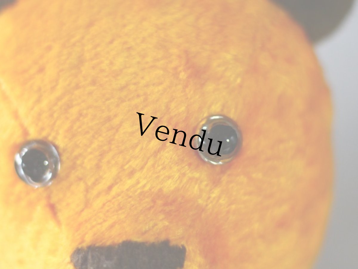 画像3: French Bear (3)