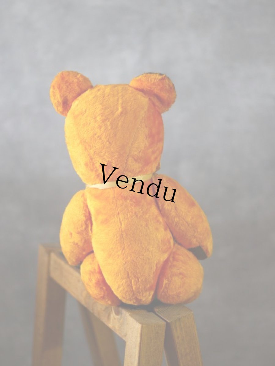 画像7: French Bear (7)