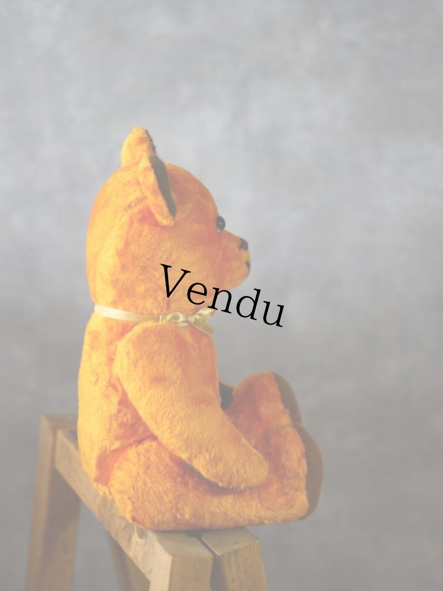 画像8: French Bear (8)