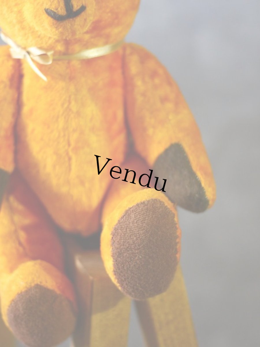 画像6: French Bear (6)