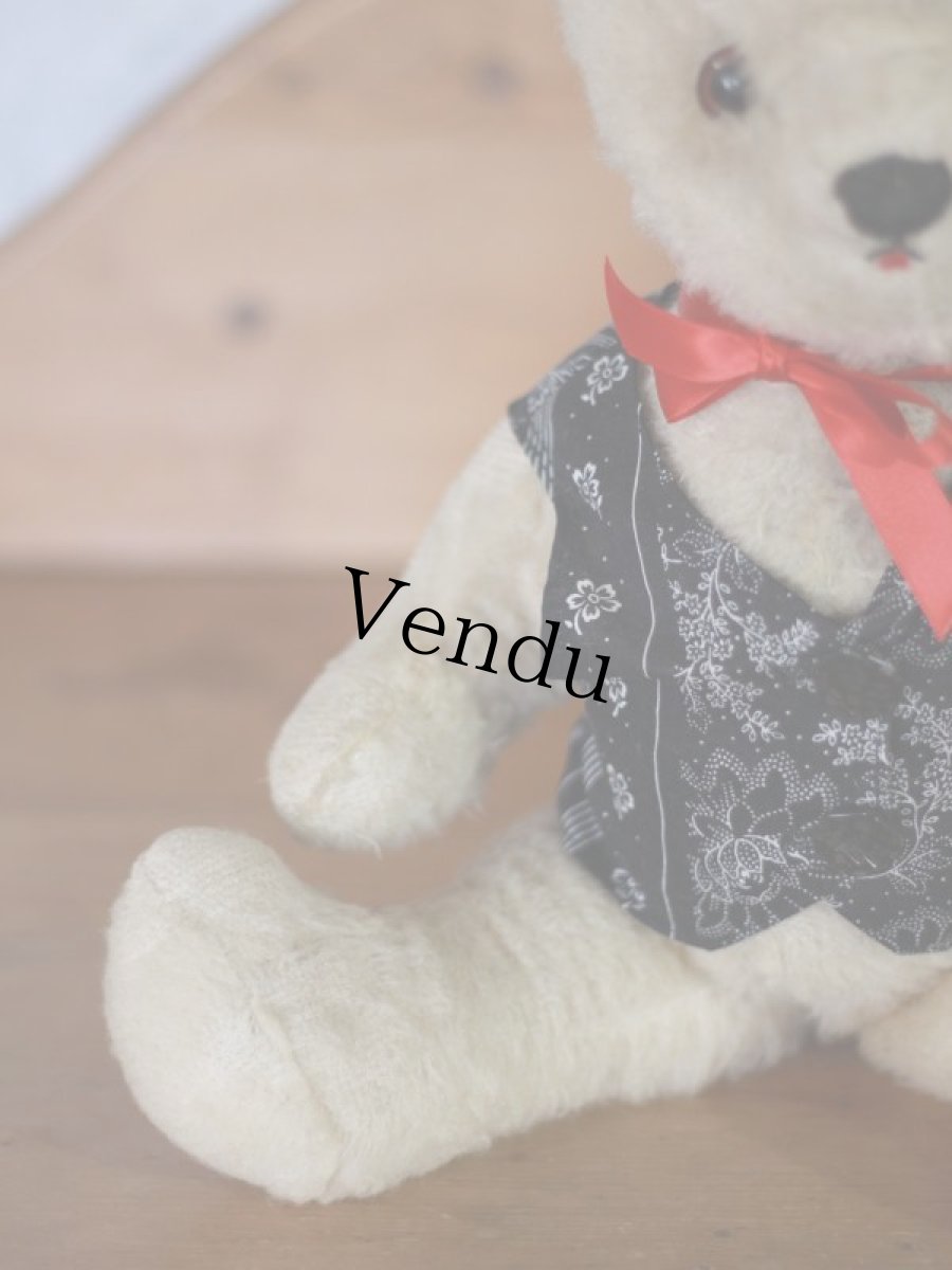 画像5: White Bear / French＊ (5)