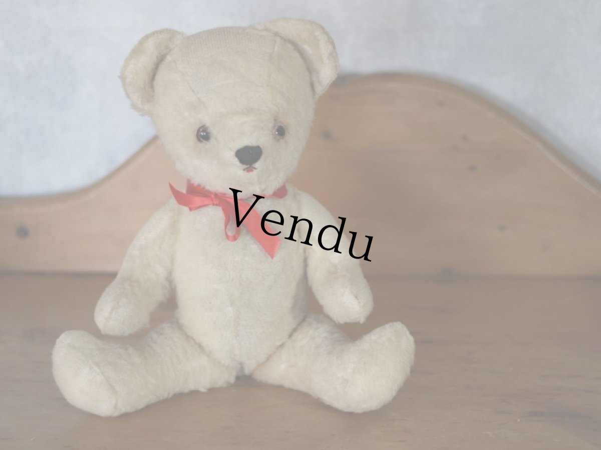 画像11: White Bear / French＊ (11)