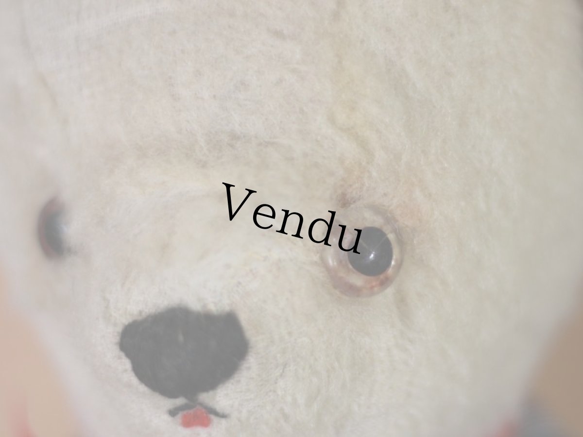 画像3: White Bear / French＊ (3)