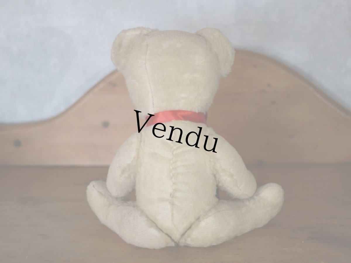 画像8: White Bear / French＊ (8)