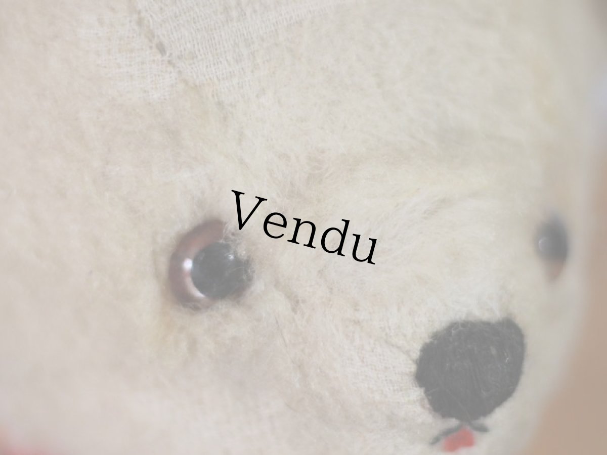 画像4: White Bear / French＊ (4)