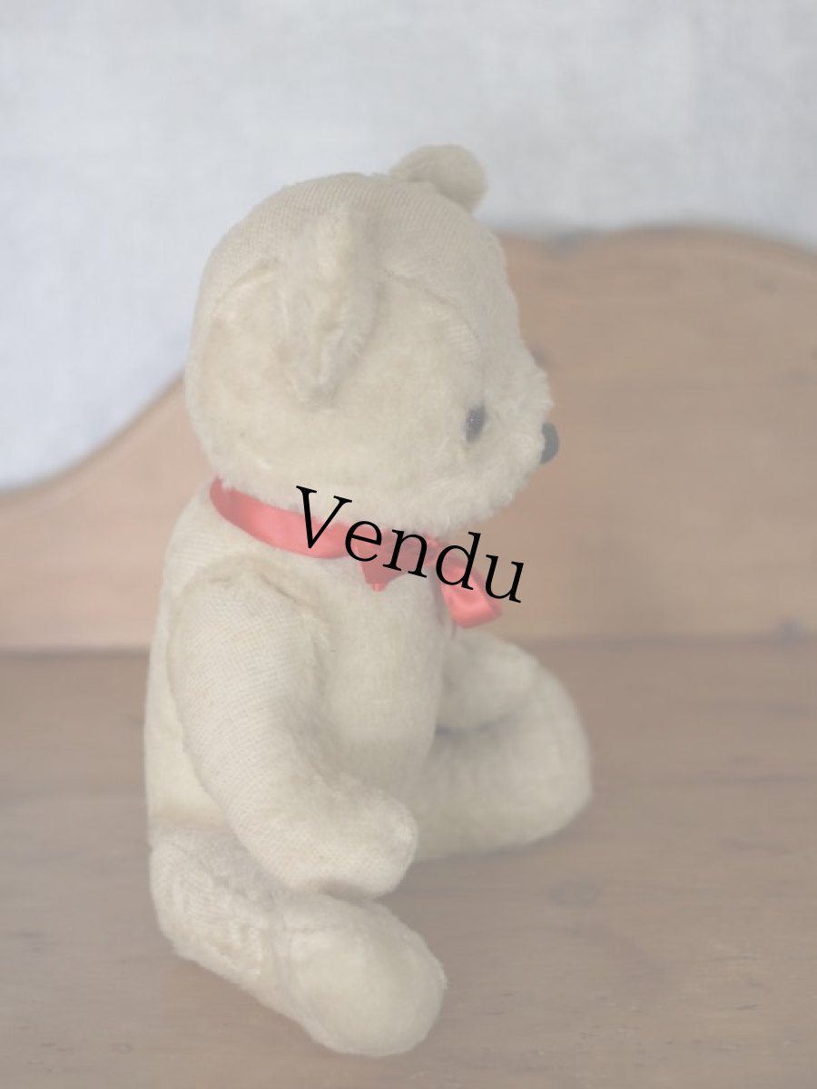 画像9: White Bear / French＊ (9)