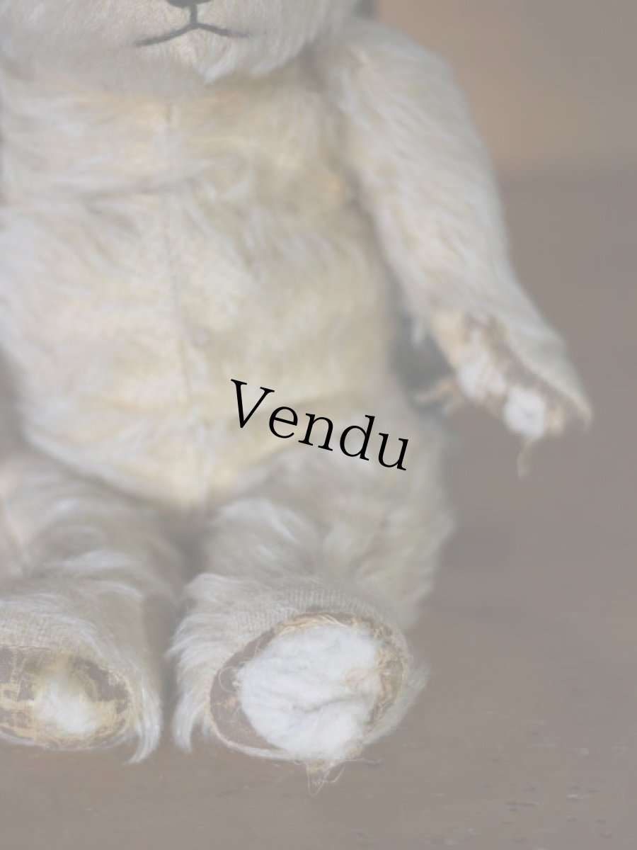 画像8: チルターン アンティーク ベア/British Chiltern  (8)